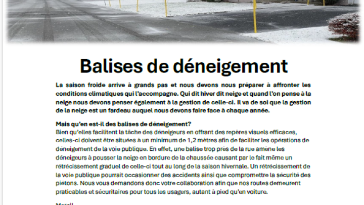 Balises de déneigement