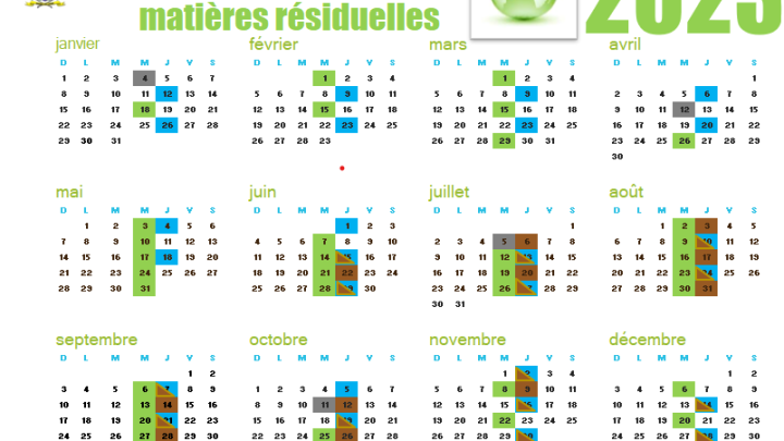 Première collecte du bac brun