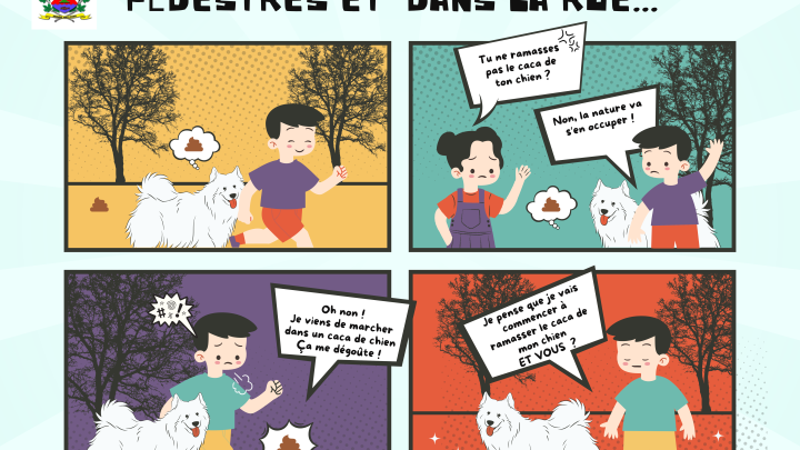 En promenant votre fidèle compagnon!