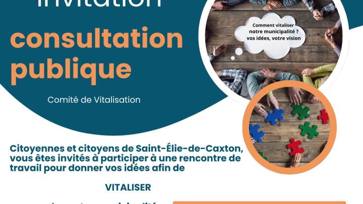 Consultation publique fond de vitalisation