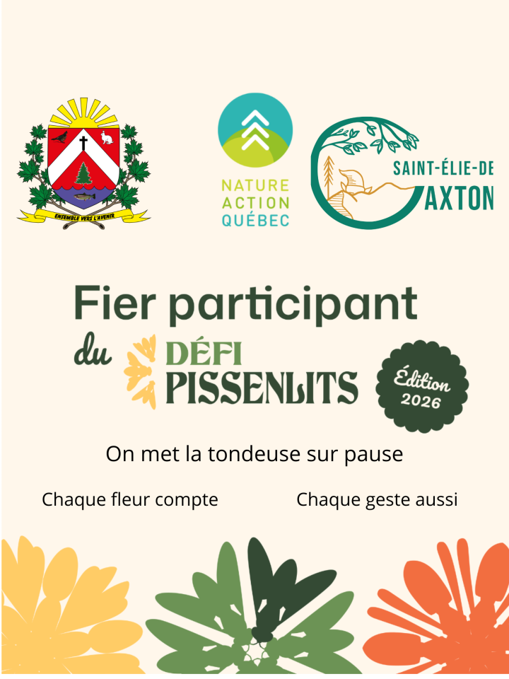 Défi Pissenlits, On met la tondeuse sur pause!