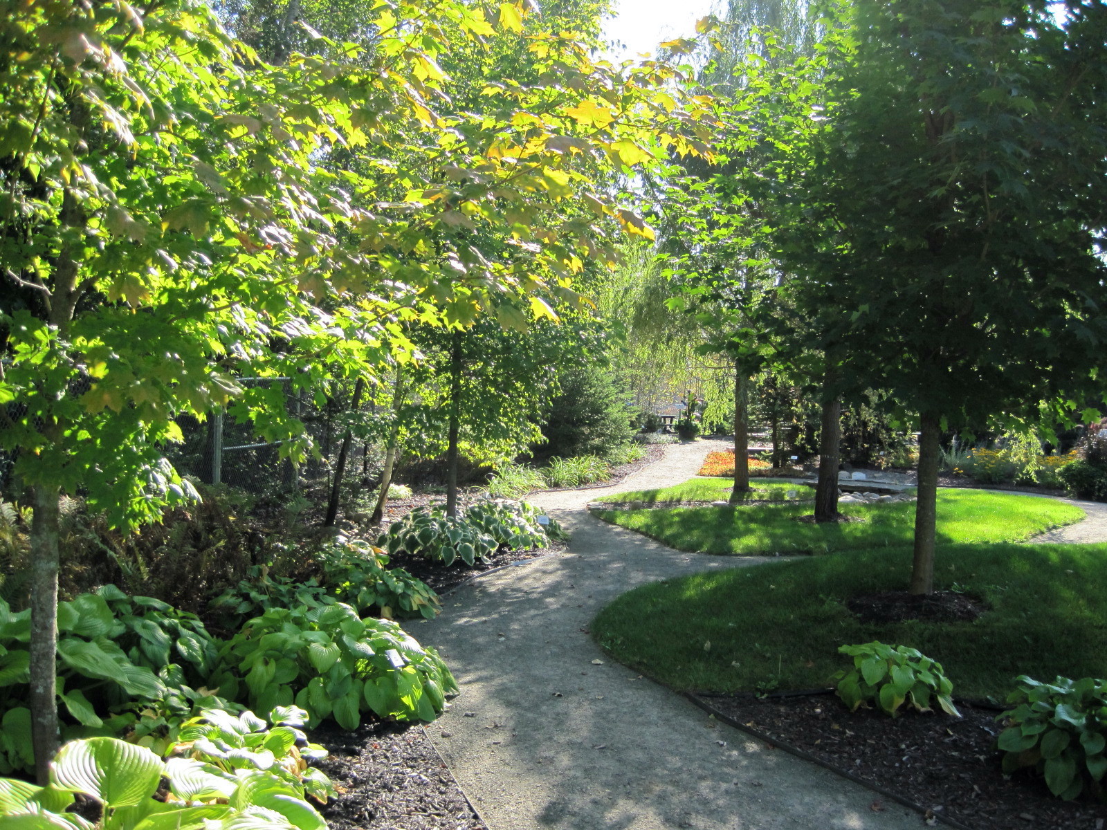 Jardin botanique - logo